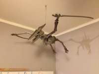 33540=14010-foam dino.jpg
