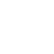 Virgrenuva